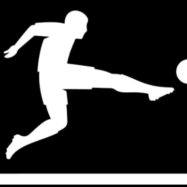 BUNDESLIGA +